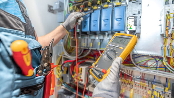 Best Ceiling Fan Installation Electrician  in Sparta, MI