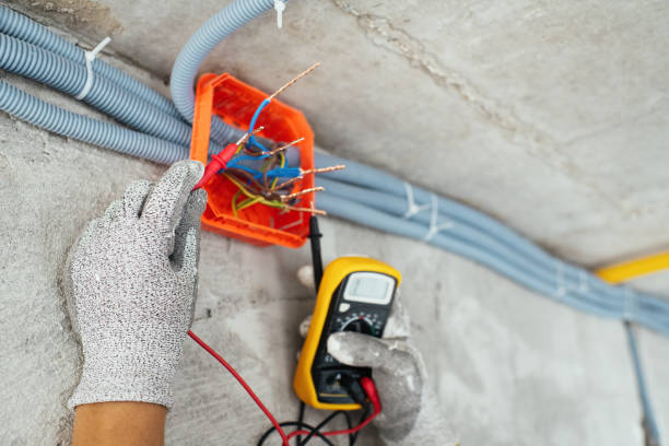 Best Affordable Electrician  in Sparta, MI